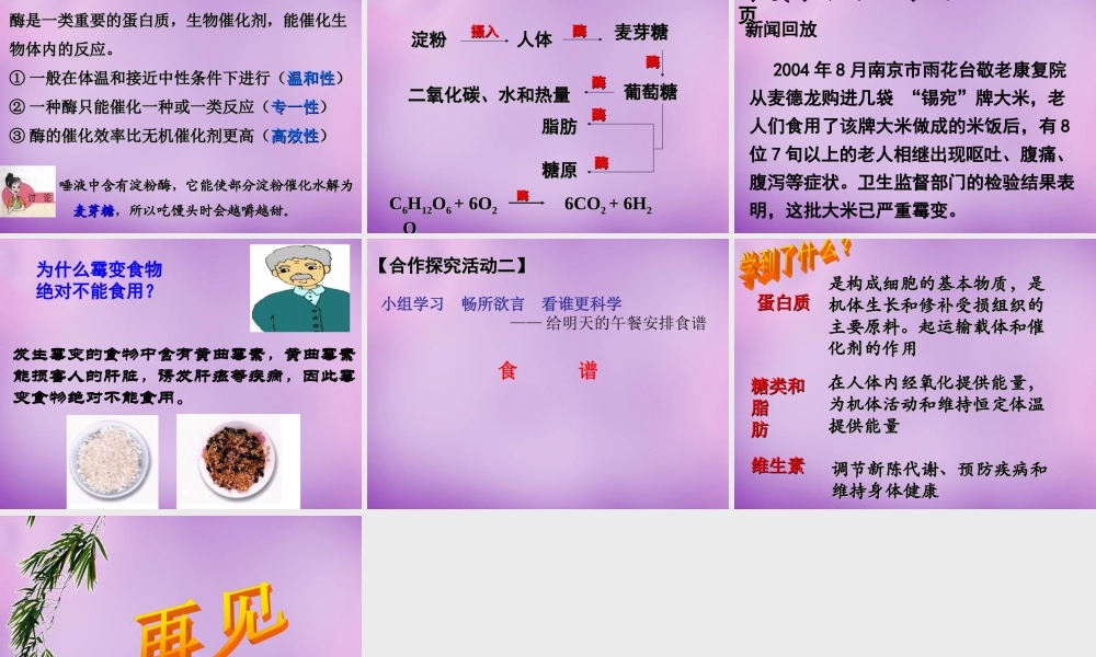 人教初中化学九下《12课题1人类重要的营养物质》PPT课件 (12).ppt