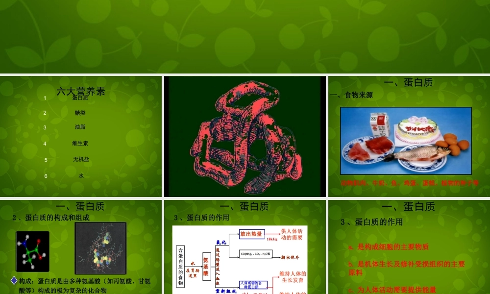 人教初中化学九下《12课题1人类重要的营养物质》PPT课件 (14).ppt