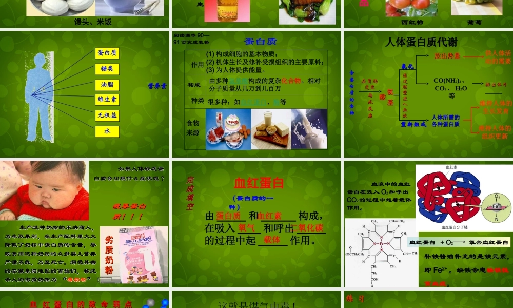人教初中化学九下《12课题1人类重要的营养物质》PPT课件 (22).ppt