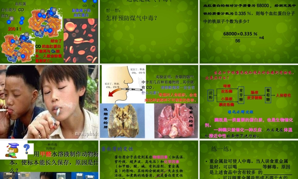 人教初中化学九下《12课题1人类重要的营养物质》PPT课件 (22).ppt