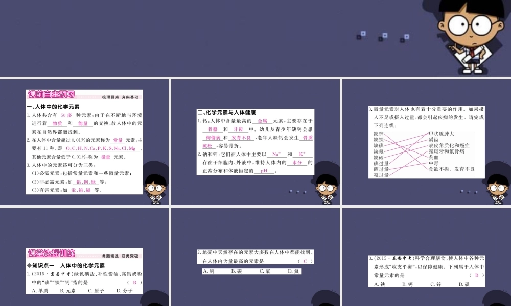 人教初中化学九下《12课题2化学元素与人体健康》PPT课件 (4).ppt