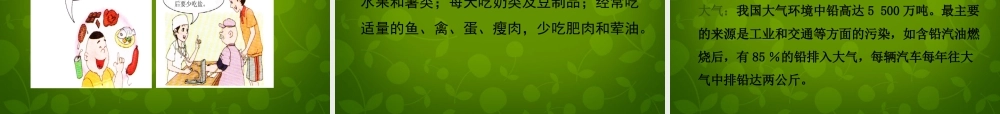 人教初中化学九下《12课题2化学元素与人体健康》PPT课件 (9).ppt