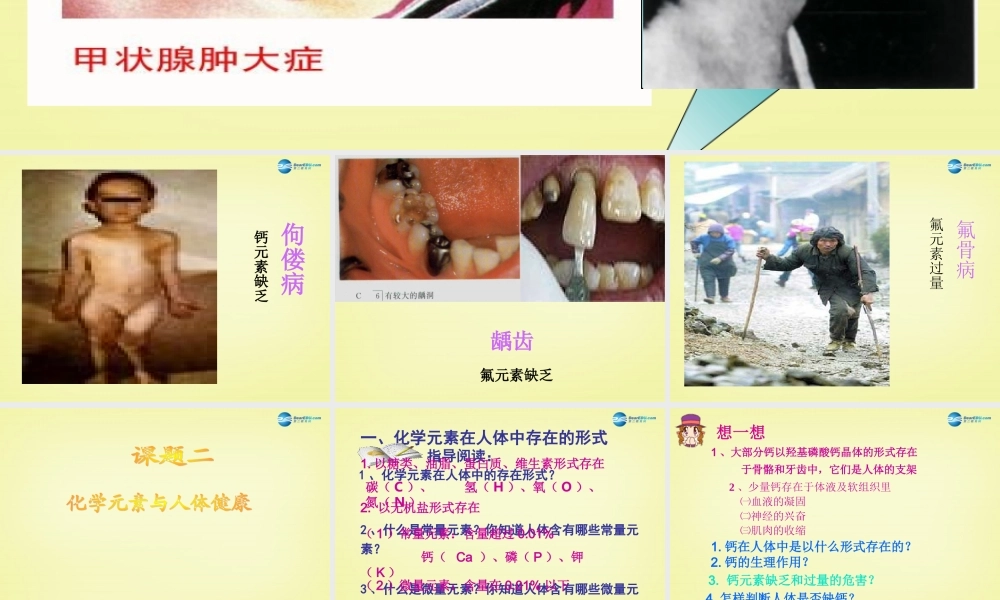人教初中化学九下《12课题2化学元素与人体健康》PPT课件 (11).ppt