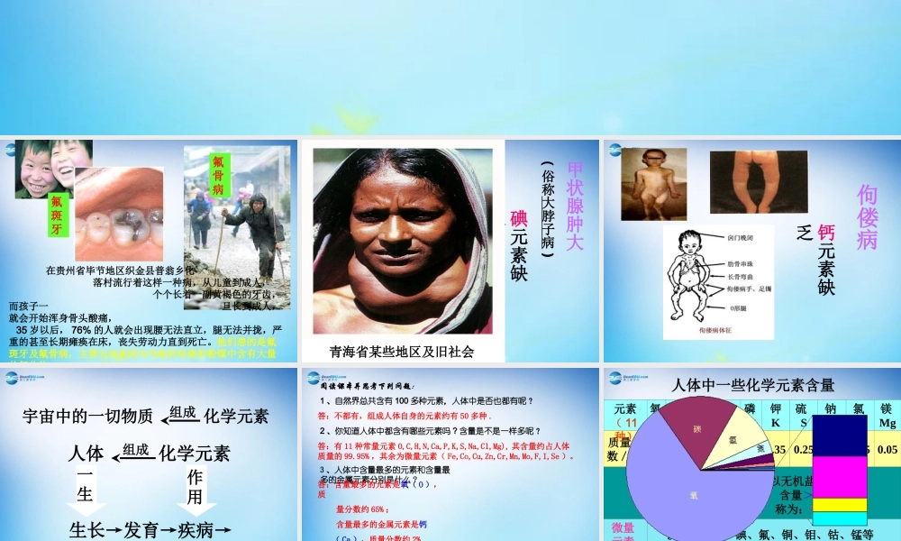 人教初中化学九下《12课题2化学元素与人体健康》PPT课件 (13).ppt