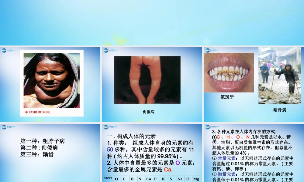 人教初中化学九下《12课题2化学元素与人体健康》PPT课件 (15).ppt