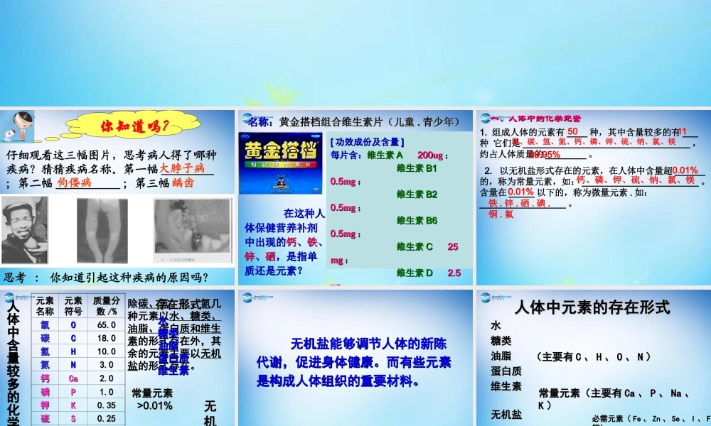 人教初中化学九下《12课题2化学元素与人体健康》PPT课件 (16).ppt