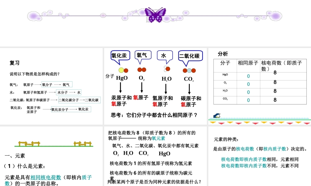 人教五四制初中化学八上《3课题3 元素》PPT课件 (1).ppt