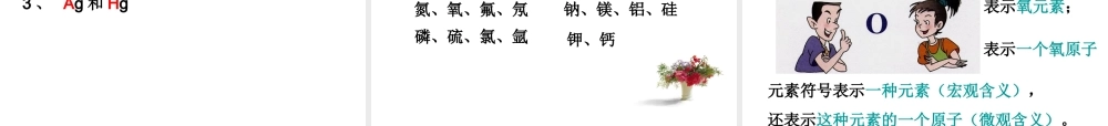 人教五四制初中化学八上《3课题3 元素》PPT课件 (1).ppt