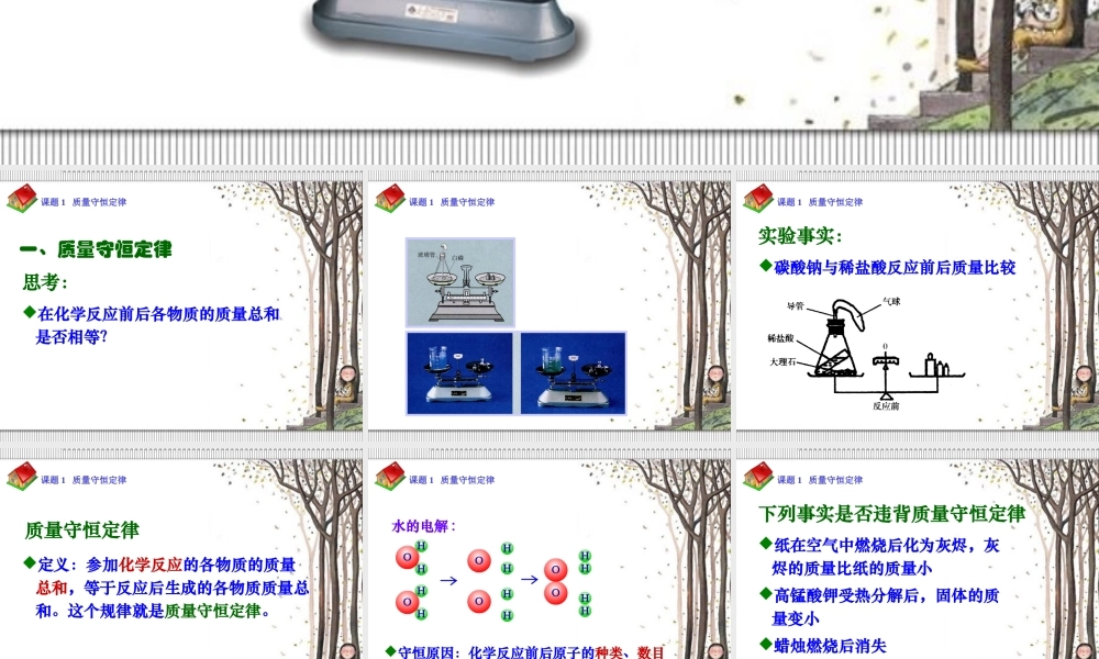 人教五四制初中化学八下《6课题1 质量守恒定律》PPT课件 (3).ppt