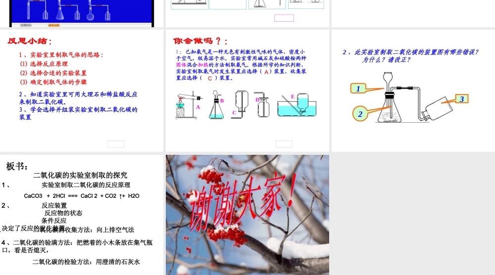 人教五四制初中化学八下《7课题2 二氧化碳制取的探究》PPT课件 (19).ppt