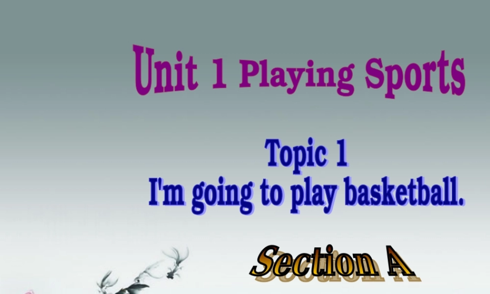 仁爱初中英语八上《Unit 1Topic 1 I'm going to play basketball.》PPT课件A (2).ppt