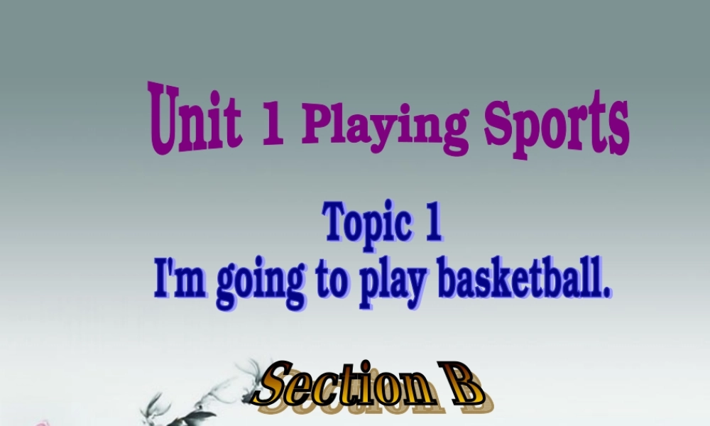 仁爱初中英语八上《Unit 1Topic 1 I'm going to play basketball.》PPT课件B (2).ppt