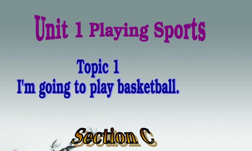 仁爱初中英语八上《Unit 1Topic 1 I'm going to play basketball.》PPT课件C (2).ppt