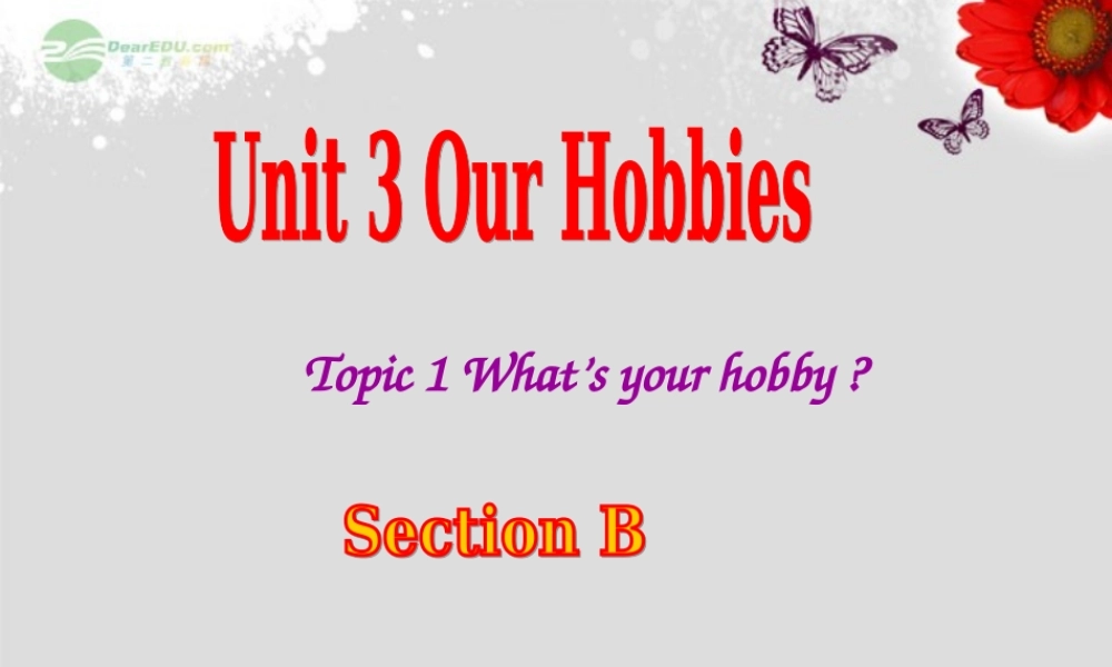 仁爱初中英语八上《Unit 3Topic 1 What's your hobby》PPT课件B (2).ppt