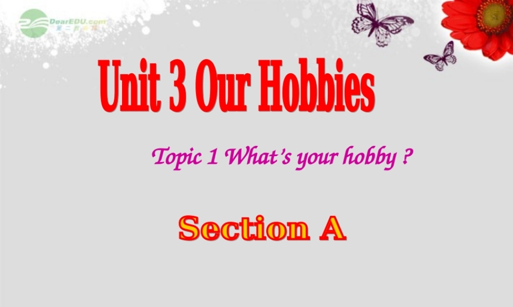 仁爱初中英语八上《Unit 3Topic 1 What's your hobby》PPT课件A (2).ppt