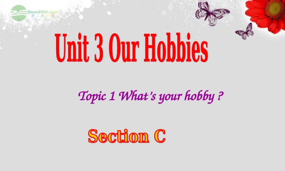 仁爱初中英语八上《Unit 3Topic 1 What's your hobby》PPT课件C (2).ppt