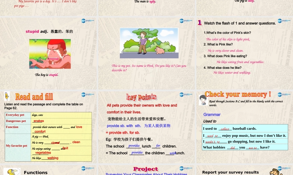仁爱初中英语八上《Unit 3Topic 1 What's your hobby》PPT课件D (1).ppt