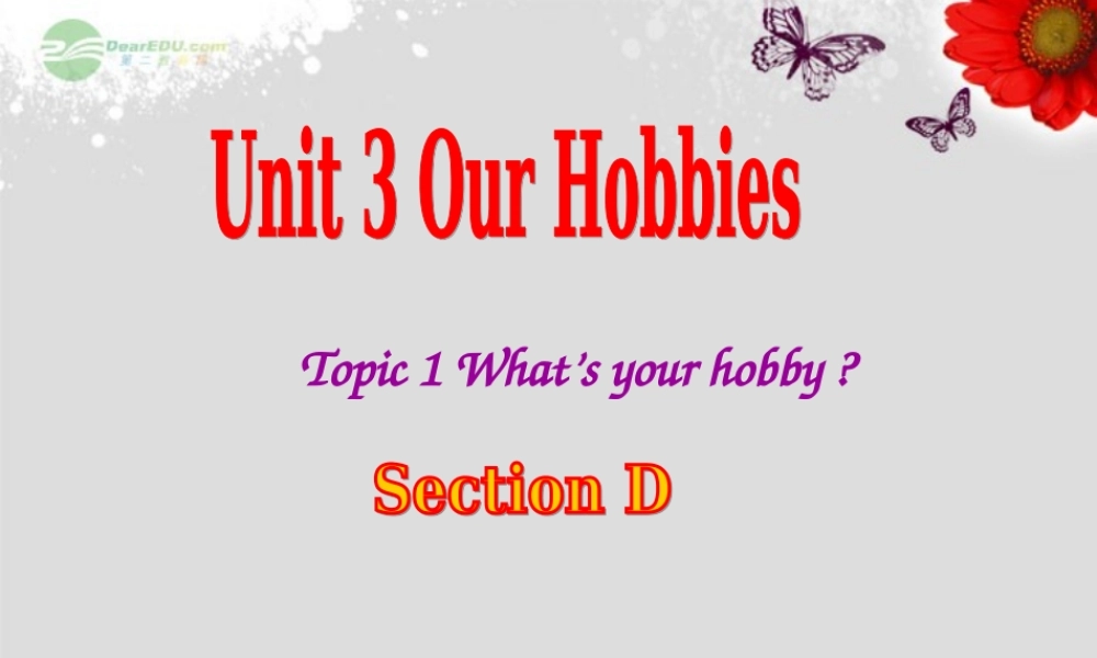 仁爱初中英语八上《Unit 3Topic 1 What's your hobby》PPT课件D (2).ppt