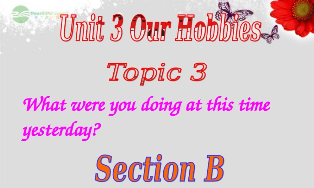 仁爱初中英语八上《Unit 3Topic 3 What were you doing at this time yesterday》PPT课件B (2).ppt
