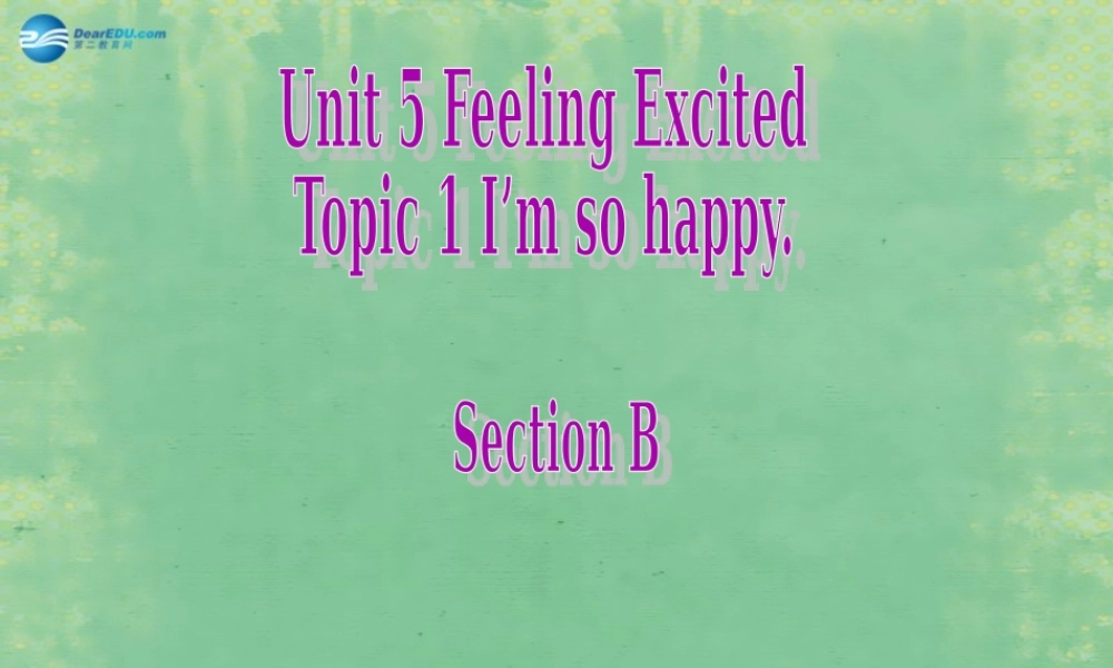 仁爱初中英语八下《Unit 5Topic 1 I'm so happy.》PPT课件B.ppt