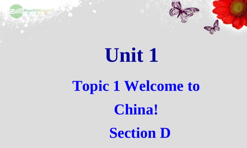 仁爱初中英语七上《Unit 1Topic 1 Welcome to China!D》PPT课件 (1).ppt