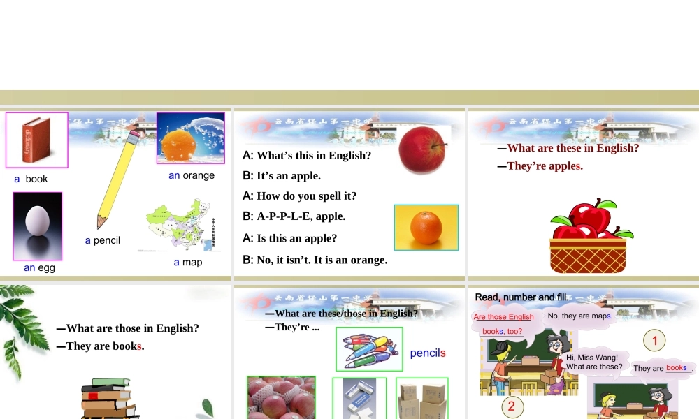 仁爱初中英语七上《Unit 1Topic 3 How old are youC》PPT课件.ppt