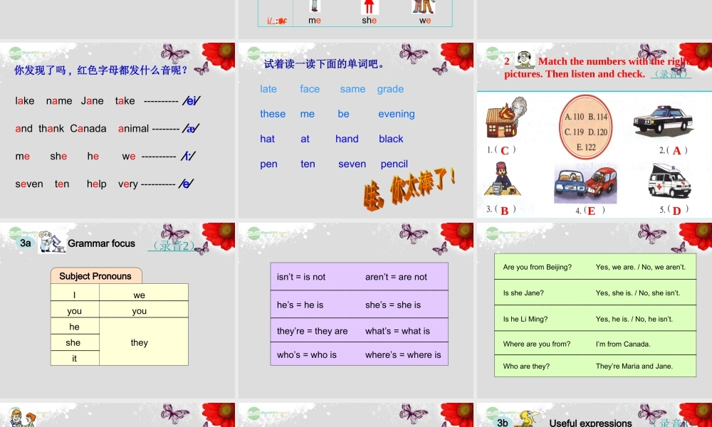 仁爱初中英语七上《Unit 1Topic 2 Where are you fromD》PPT课件 (1).ppt