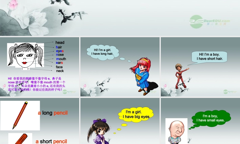 仁爱初中英语七上《Unit 2Topic 1 I have a small noseA》PPT课件 (2).ppt