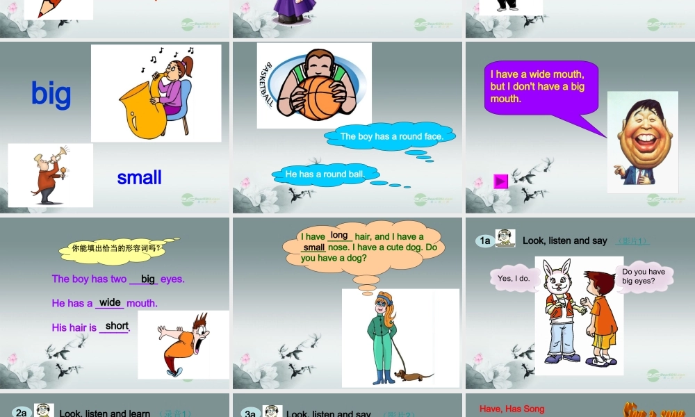 仁爱初中英语七上《Unit 2Topic 1 I have a small noseA》PPT课件 (2).ppt