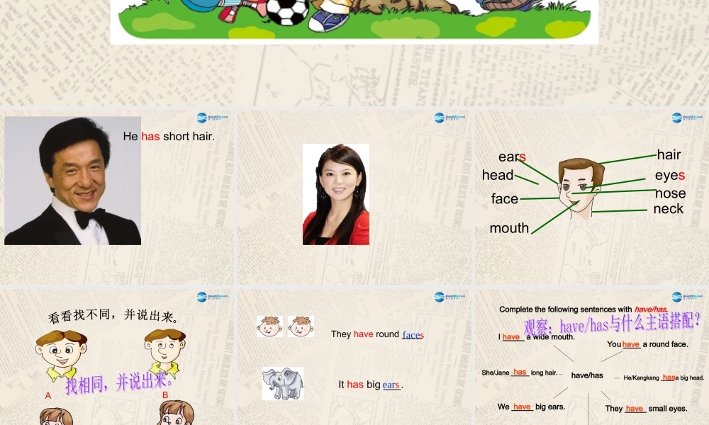 仁爱初中英语七上《Unit 2Topic 1 I have a small nose》PPT课件 (1).ppt