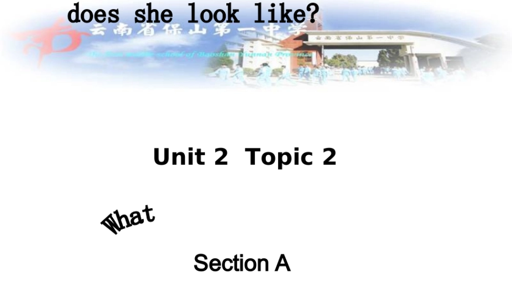 仁爱初中英语七上《Unit 2Topic 2 What does she look likeA》PPT课件.ppt