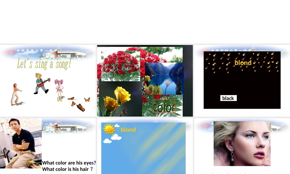 仁爱初中英语七上《Unit 2Topic 2 What does she look likeA》PPT课件.ppt