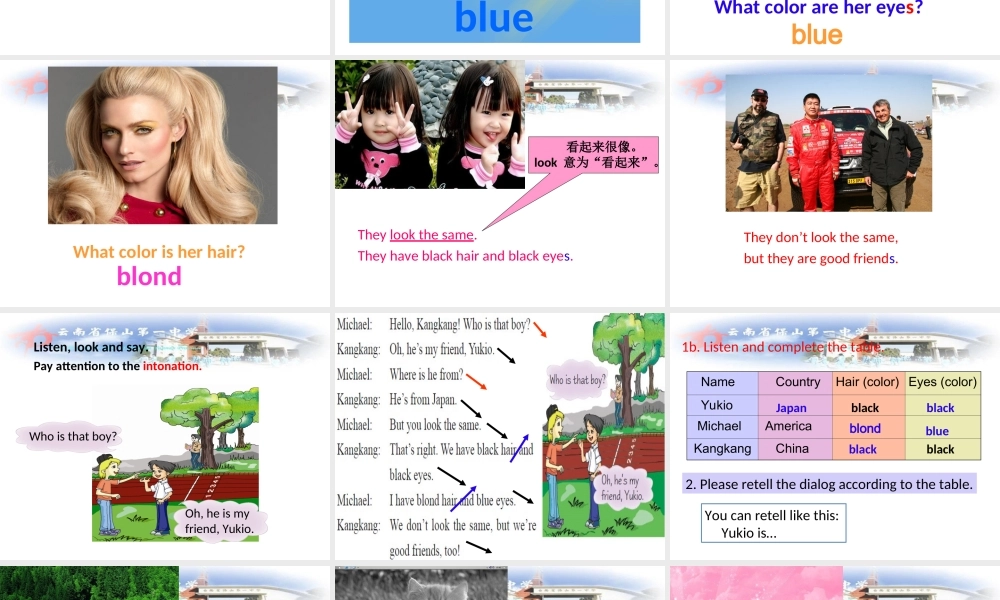 仁爱初中英语七上《Unit 2Topic 2 What does she look likeA》PPT课件.ppt