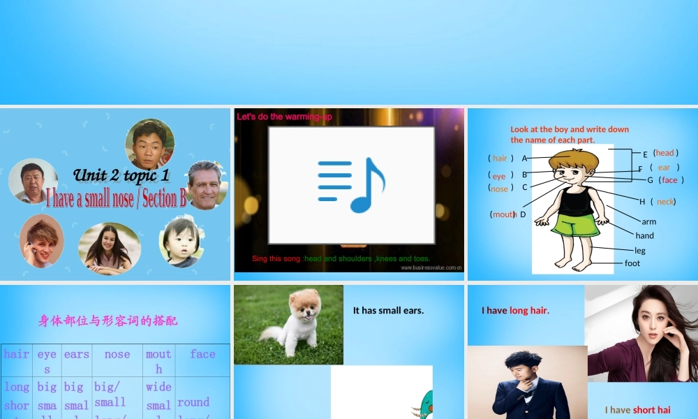 仁爱初中英语七上《Unit 2Topic 1 I have a small nose》PPT课件 (2).ppt