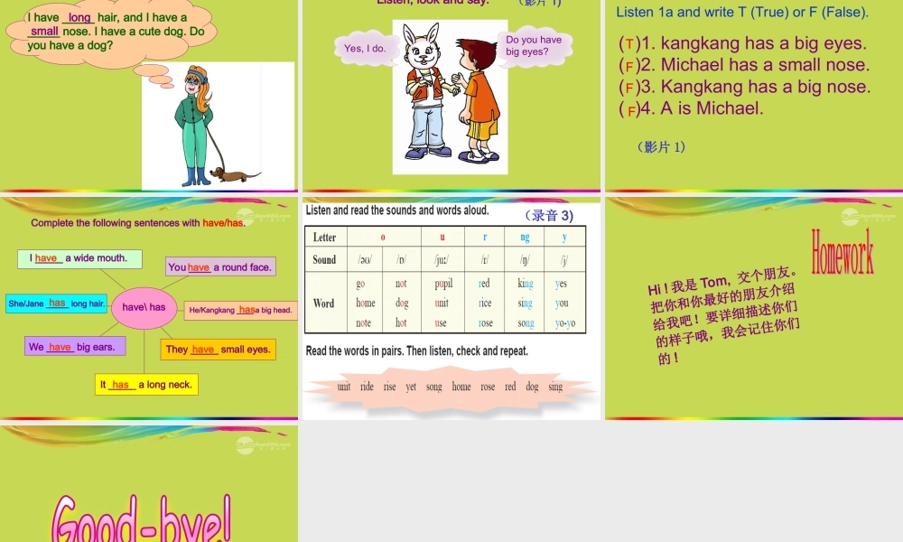 仁爱初中英语七上《Unit 2Topic 1 I have a small noseA》PPT课件 (1).ppt