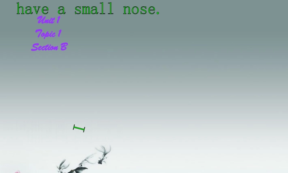 仁爱初中英语七上《Unit 2Topic 1 I have a small noseB》PPT课件 (1).ppt