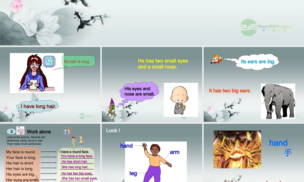 仁爱初中英语七上《Unit 2Topic 1 I have a small noseB》PPT课件 (1).ppt