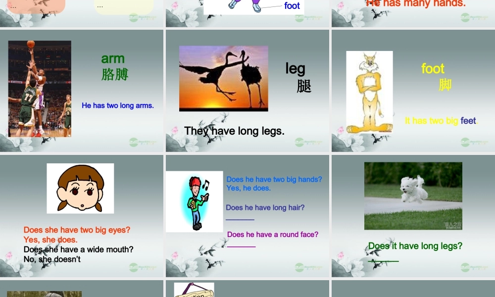 仁爱初中英语七上《Unit 2Topic 1 I have a small noseB》PPT课件 (1).ppt