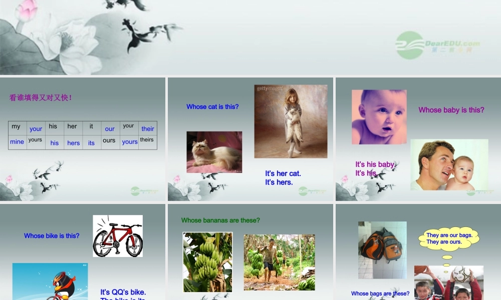 仁爱初中英语七上《Unit 2Topic 3 Whose jacket is thisB》PPT课件 (1).ppt