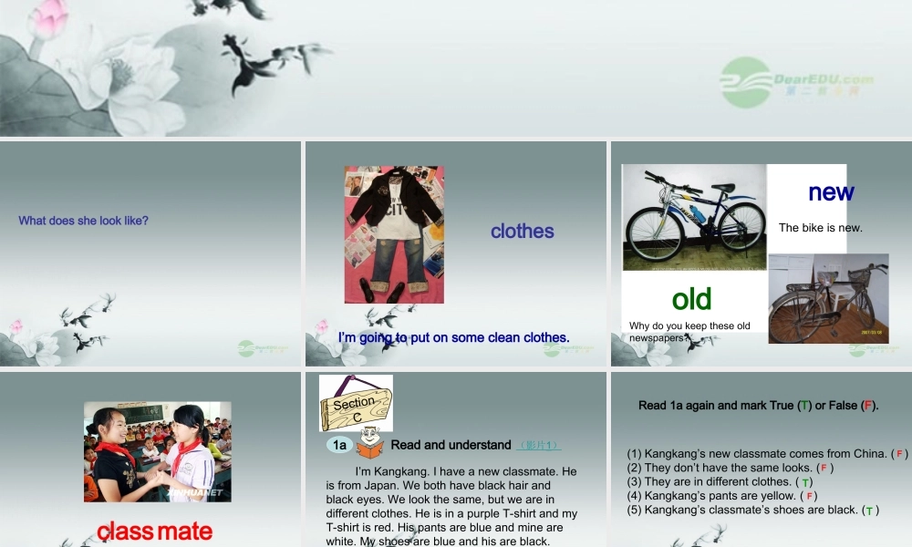 仁爱初中英语七上《Unit 2Topic 3 Whose jacket is thisC》PPT课件 (1).ppt