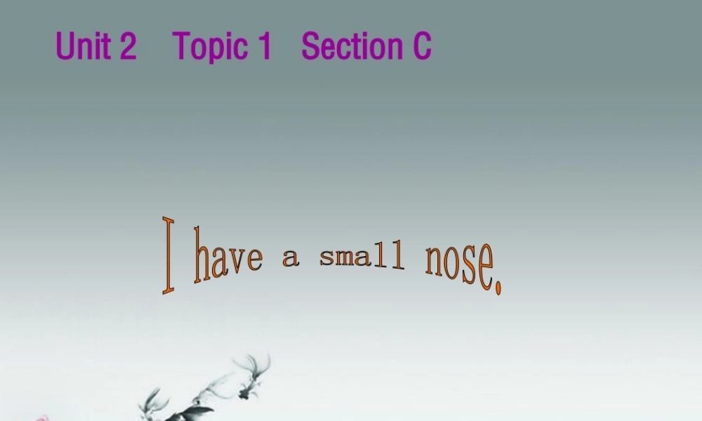 仁爱初中英语七上《Unit 2Topic 1 I have a small noseC》PPT课件 (1).ppt
