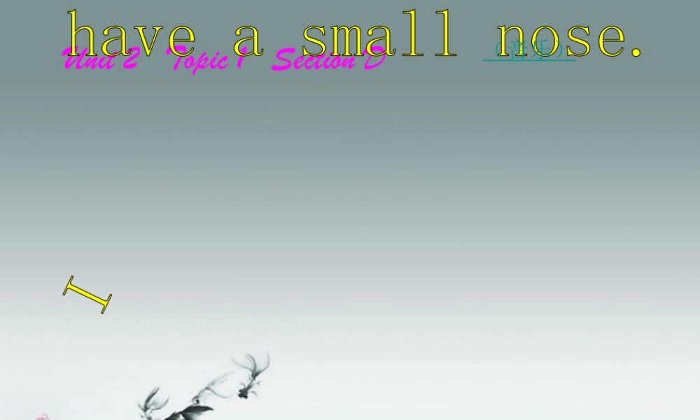 仁爱初中英语七上《Unit 2Topic 1 I have a small noseD》PPT课件 (1).ppt