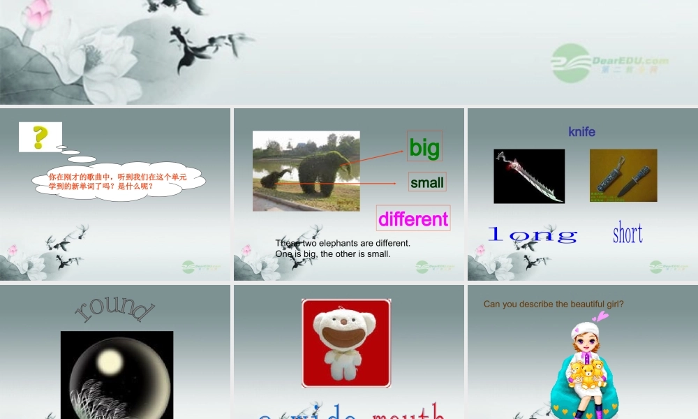 仁爱初中英语七上《Unit 2Topic 1 I have a small noseD》PPT课件 (1).ppt