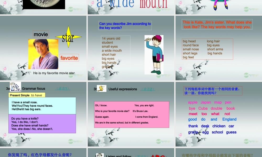 仁爱初中英语七上《Unit 2Topic 1 I have a small noseD》PPT课件 (1).ppt