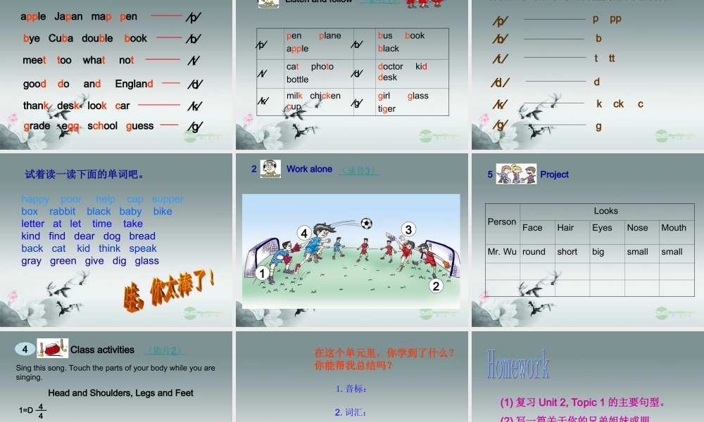 仁爱初中英语七上《Unit 2Topic 1 I have a small noseD》PPT课件 (1).ppt