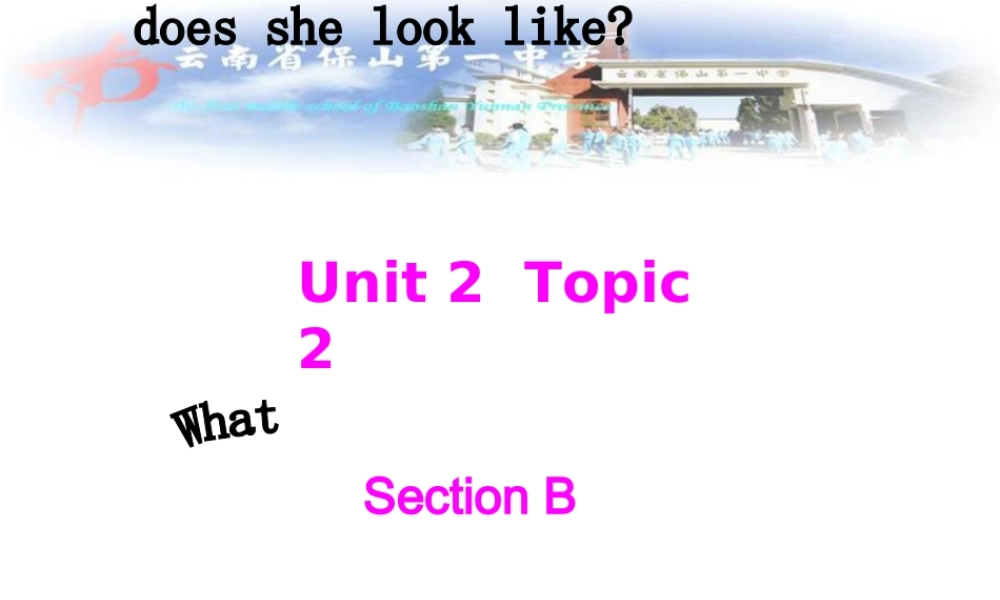 仁爱初中英语七上《Unit 2Topic 2 What does she look likeB》PPT课件.ppt