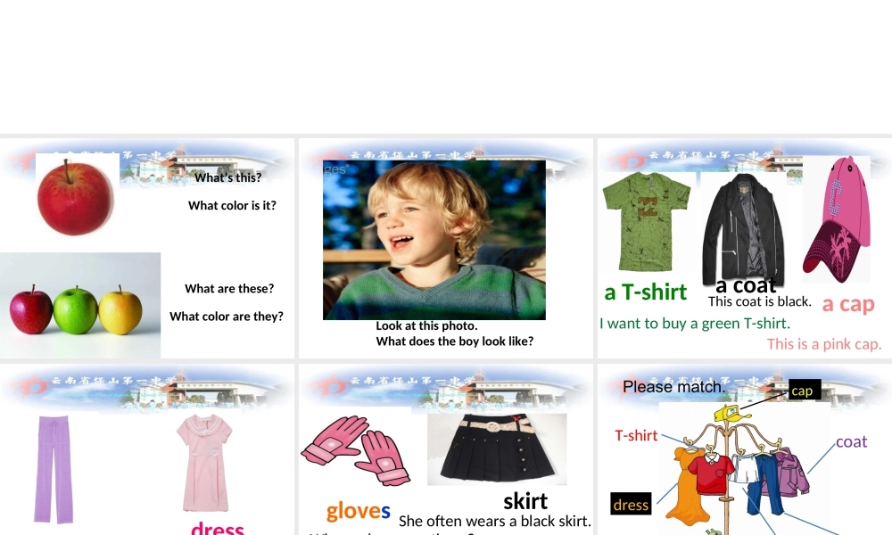 仁爱初中英语七上《Unit 2Topic 2 What does she look likeC》PPT课件.ppt