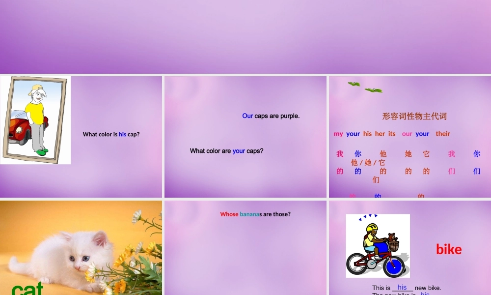 仁爱初中英语七上《Unit 2Topic 3 Whose jacket is thisA》PPT课件 (1).ppt