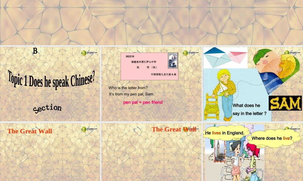 仁爱初中英语七上《Unit 3Topic 1 Does he speak ChineseB》PPT课件 (3).ppt