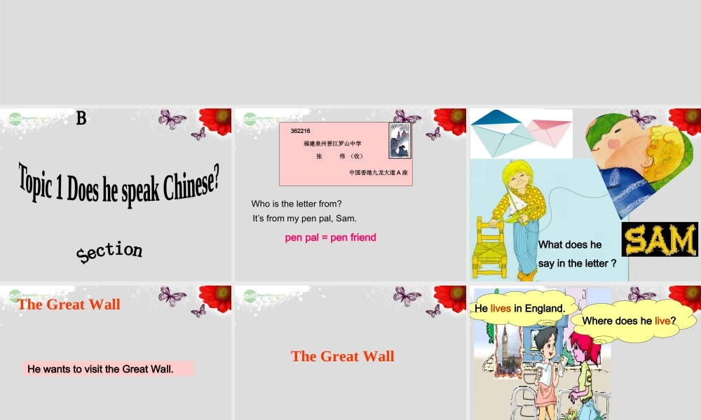 仁爱初中英语七上《Unit 3Topic 1 Does he speak ChineseB》PPT课件 (2).ppt